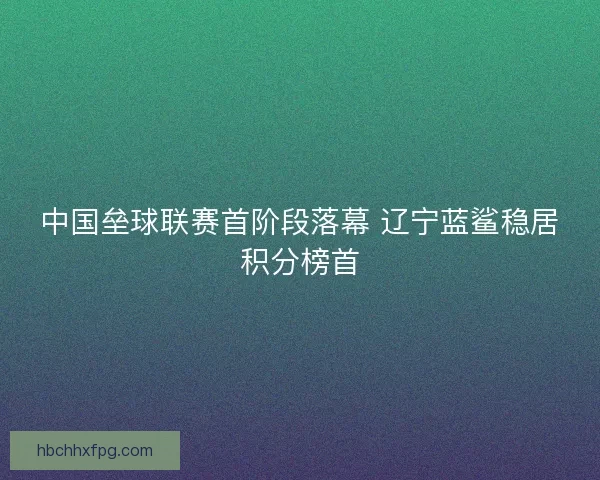 中国垒球联赛首阶段落幕 辽宁蓝鲨稳居积分榜首 中国垒球联赛首阶段落幕 辽宁蓝鲨稳居积分榜首