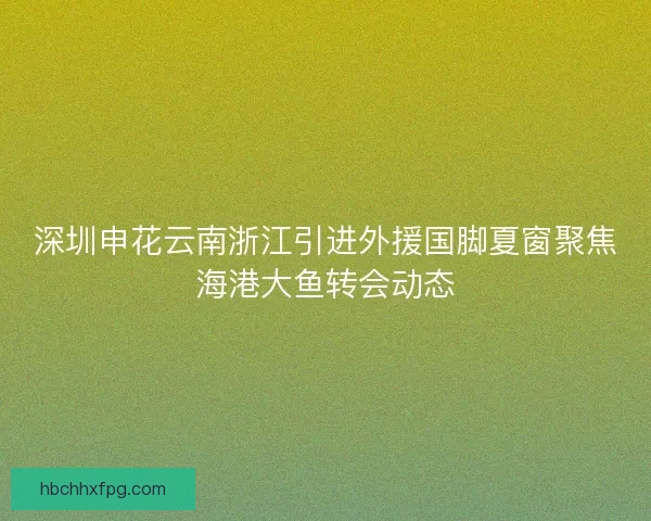 深圳申花云南浙江引进外援国脚夏窗聚焦海港大鱼转会动态 深圳申花云南浙江引进外援国脚夏窗聚焦海港大鱼转会动态